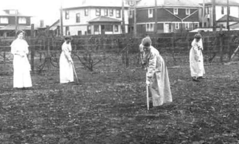 Dr. Parvin's Cruel Experiments